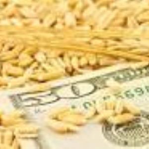HEALTHY PROFITS?