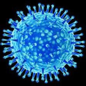 Scientific Research: Methods With Negative Implications For The Right Purposes?