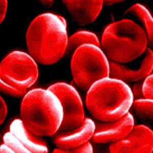 Blood scarcity
