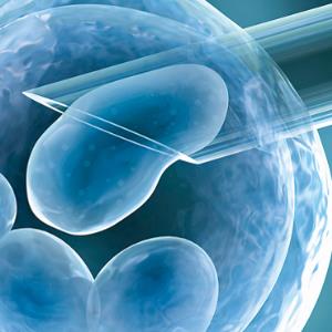 LIMITING IVF TO SAVE THE PLANET?